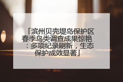 滨州贝壳堤岛保护区春季鸟类调查成果惊艳：多项纪录刷新，生态保护成效显著
