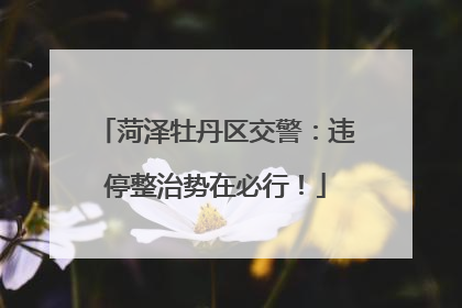 菏泽牡丹区交警：违停整治势在必行！