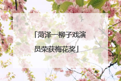 菏泽一柳子戏演员荣获梅花奖