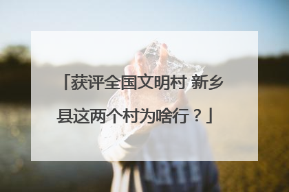 获评全国文明村 新乡县这两个村为啥行？