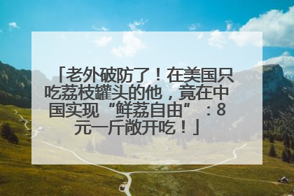 老外破防了！在美国只吃荔枝罐头的他，竟在中国实现“鲜荔自由”：8元一斤敞开吃！