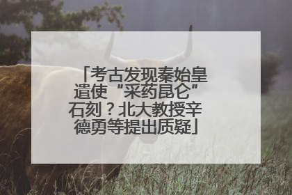 考古发现秦始皇遣使“采药昆仑”石刻？北大教授辛德勇等提出质疑