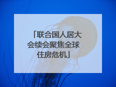 联合国人居大会续会聚焦全球住房危机