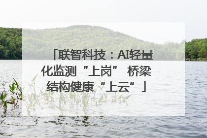 联智科技：AI轻量化监测“上岗” 桥梁结构健康“上云”