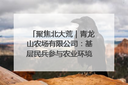 聚焦北大荒｜青龙山农场有限公司：基层民兵参与农业环境综合治理显效
