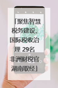 聚焦智慧税务建设、国际税收治理 29名非洲财税官湖南取经