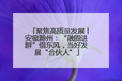 聚焦高质量发展丨安徽滁州：“融圈进群”借东风，当好发展“合伙人”