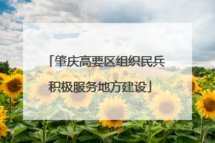 肇庆高要区组织民兵积极服务地方建设