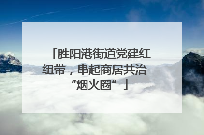 胜阳港街道党建红纽带，串起商居共治 “烟火圈”