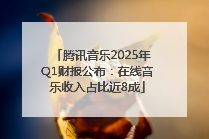 腾讯音乐2025年Q1财报公布：在线音乐收入占比近8成