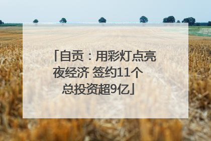 自贡：用彩灯点亮夜经济 签约11个总投资超9亿