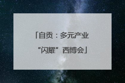 自贡：多元产业“闪耀”西博会