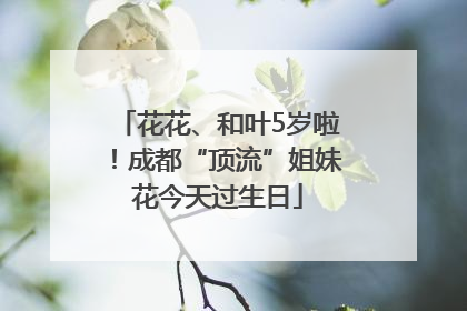 花花、和叶5岁啦！成都“顶流”姐妹花今天过生日