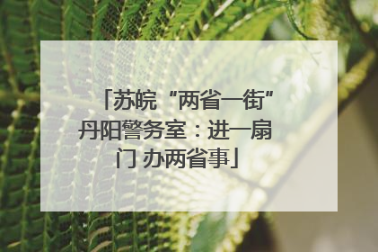 苏皖“两省一街”丹阳警务室：进一扇门 办两省事