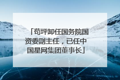 苟坪卸任国务院国资委副主任，已任中国星网集团董事长