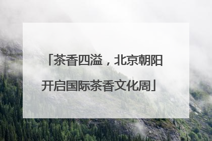 茶香四溢，北京朝阳开启国际茶香文化周