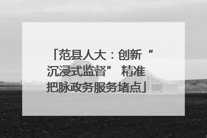 范县人大：创新“沉浸式监督” 精准把脉政务服务堵点