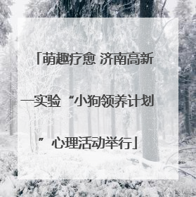 萌趣疗愈 济南高新一实验“小狗领养计划”心理活动举行