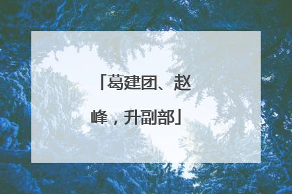 葛建团、赵峰，升副部