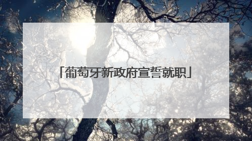 葡萄牙新政府宣誓就职