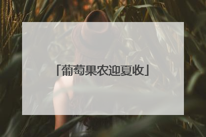 葡萄果农迎夏收
