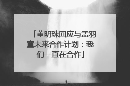 董明珠回应与孟羽童未来合作计划：我们一直在合作