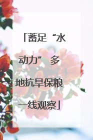 蓄足“水动力” 多地抗旱保粮一线观察