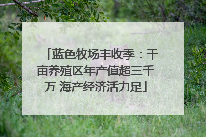 蓝色牧场丰收季：千亩养殖区年产值超三千万 海产经济活力足