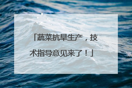 蔬菜抗旱生产，技术指导意见来了！
