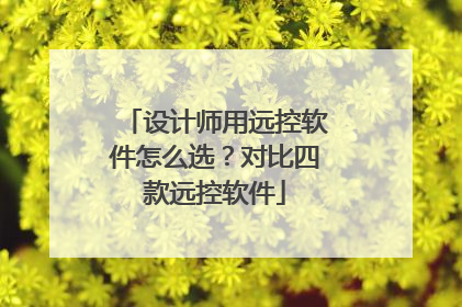 设计师用远控软件怎么选？对比四款远控软件