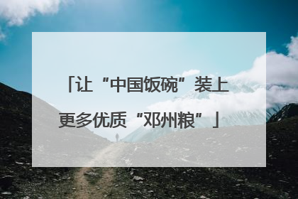 让“中国饭碗”装上更多优质“邓州粮”