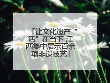 让文化遗产“活”在当下 江西集中展示百余项非遗技艺