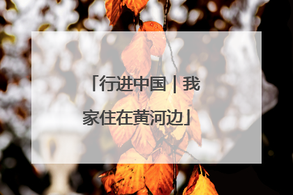 行进中国｜我家住在黄河边