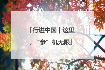 行进中国｜这里，“参”机无限