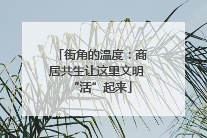 街角的温度：商居共生让这里文明“活”起来