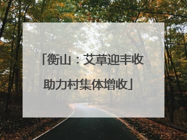 衡山：艾草迎丰收 助力村集体增收