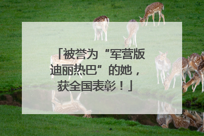 被誉为“军营版迪丽热巴”的她，获全国表彰！