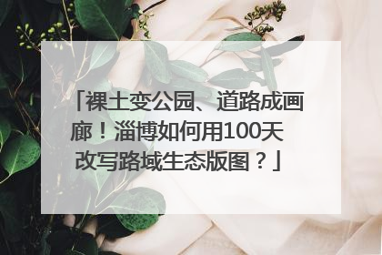 裸土变公园、道路成画廊！淄博如何用100天改写路域生态版图？