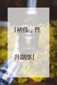 褚伟，晋升副部