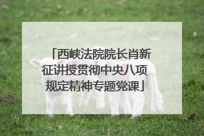 西峡法院院长肖新征讲授贯彻中央八项规定精神专题党课