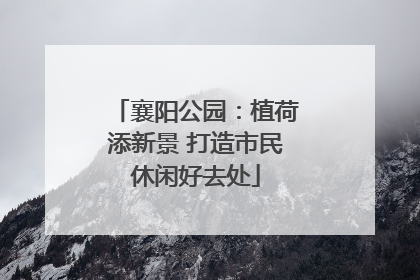 襄阳公园：植荷添新景 打造市民休闲好去处