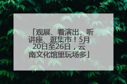 观展、看演出、听讲座、逛集市！5月20日至26日，云南文化馆里玩场多