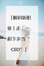 解码新职业丨走，一起下乡当“CEO”