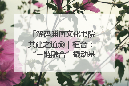 解码淄博文化书院共建之道⑩｜桓台：“三链融合”撬动基层文化共治新动能