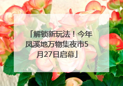 解锁新玩法！今年凤溪地万物集夜市5月27日启幕