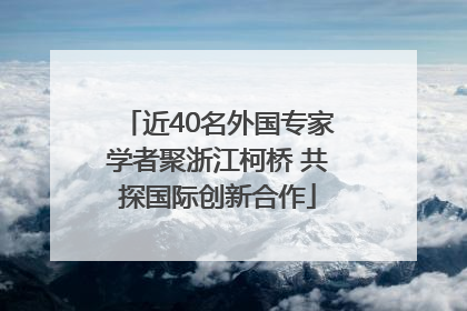 近40名外国专家学者聚浙江柯桥 共探国际创新合作