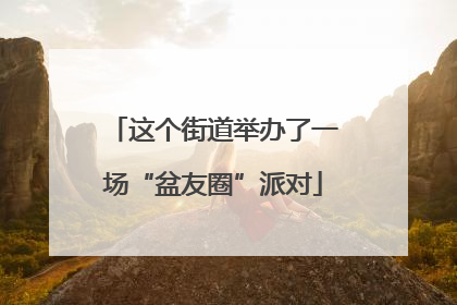 这个街道举办了一场“盆友圈”派对