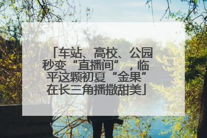 车站、高校、公园秒变“直播间”，临平这颗初夏“金果”在长三角播撒甜美