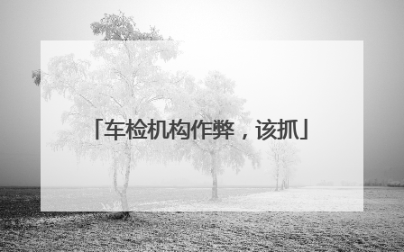车检机构作弊，该抓