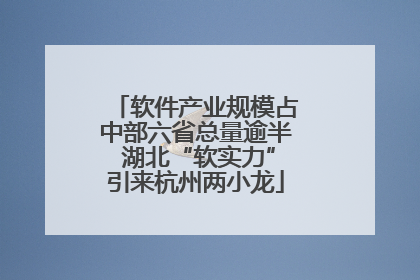 软件产业规模占中部六省总量逾半 湖北“软实力”引来杭州两小龙